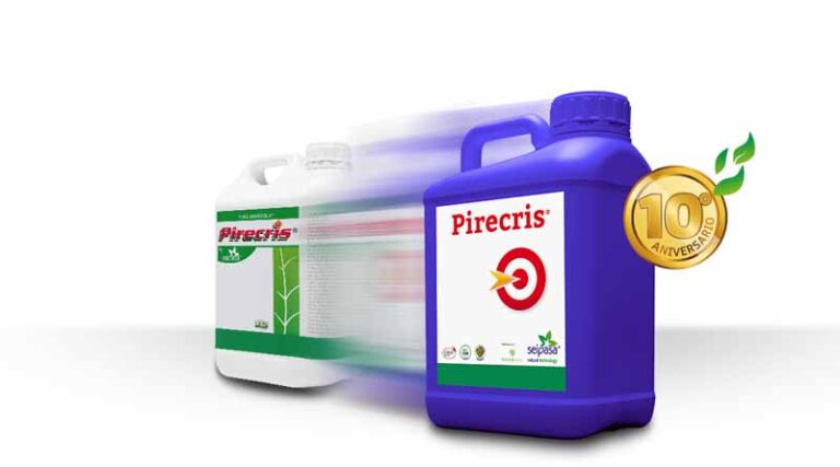 Pirecris: the story of the number one that has never stopped evolving