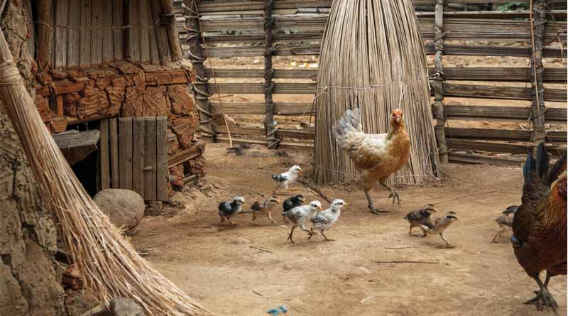 FAO Food Price Index Up Marginally in April