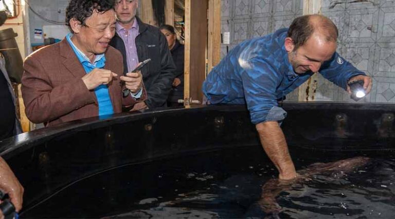 in Chile, the Director-general Witnesses Leading Examples of Water Conservation and Diversified Fishing in Response to Climate Challenges