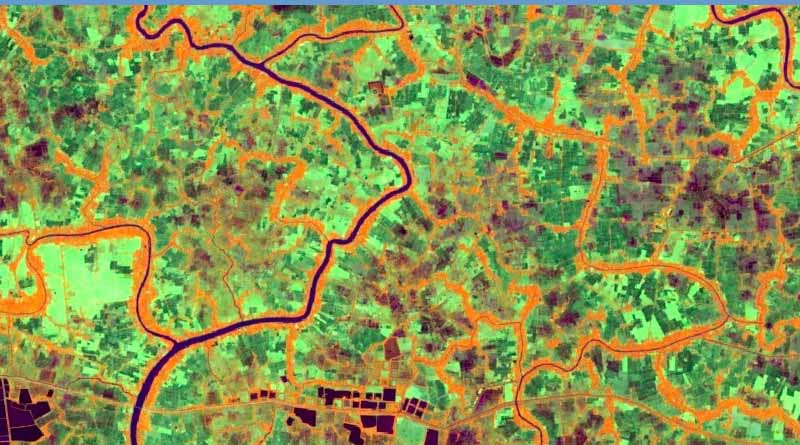 FAO’s environment and climate monitoring portal Earth Map receives Google impact award