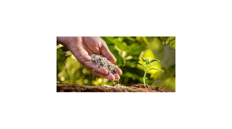 Comprehensive Analysis and Future Outlook of the Chelated-Iron Agricultural Micronutrient Market