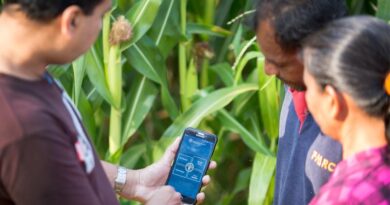 FAO puts focus on importance of technology for International Day of Plant Health