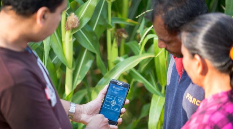 FAO puts focus on importance of technology for International Day of Plant Health