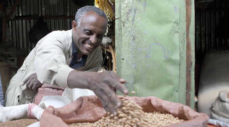 ICRISAT Revolutionizes Crop Testing with Portable Technology