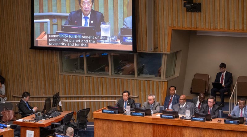 FAO Director-General addresses High-Level Segment of 19th session of the United Nations Forum on Forests