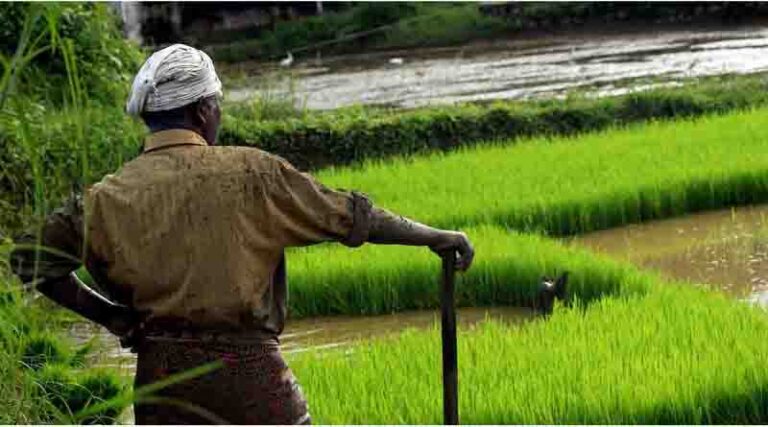 DD Kisan to launch two AI anchors AI Krish and AI Bhoomi on 26th May 2024