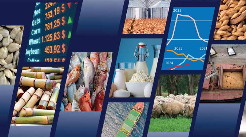 FAO Foresees a Stable Outlook for Most Food Commodity Markets in 2024/25