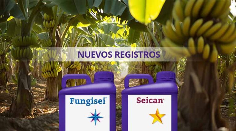 Seipasa Strengthens Its Banana Bio-protection Strategy With New Registrations