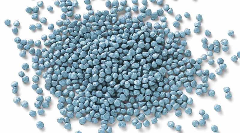Improved Seed Treatment for More Sustainable Vegetable Production