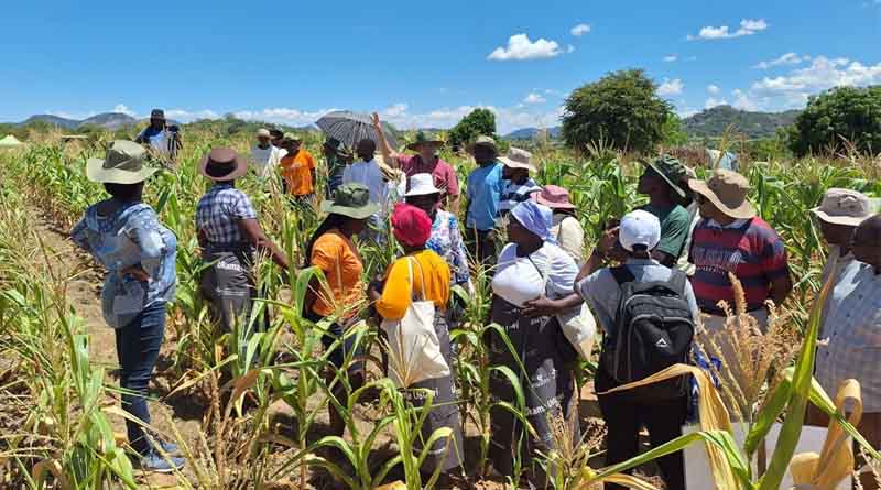 Transforming Agriculture Together: Insights from the Ukama Ustawi Share Fair