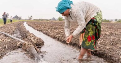 Heat Wave Conditions Continue in North India, Rains Forecast in Northeast