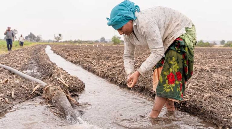 Heat Wave Conditions Continue in North India, Rains Forecast in Northeast