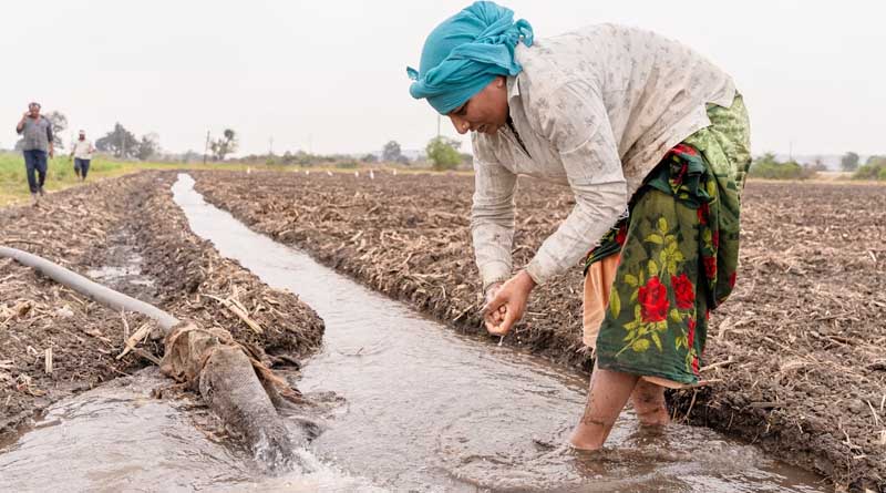 Heat Wave Conditions Continue in North India, Rains Forecast in Northeast
