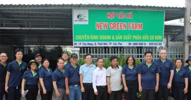 IRRI and Can Tho City Launch Circular Economy Model for Rice Straw