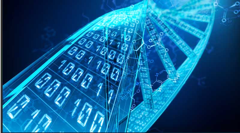 Syngenta and InstaDeep collaborate to accelerate crops seeds trait research using AI Large Language Models