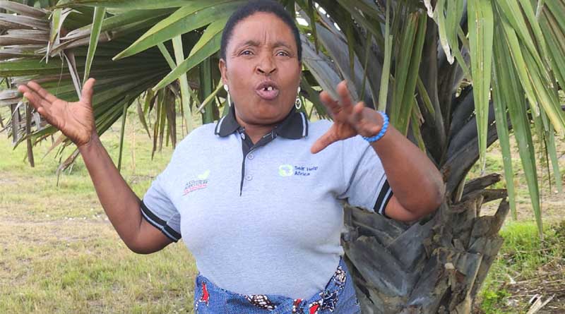 Rekindling and Revitalizing Chicken Farming in Zambia