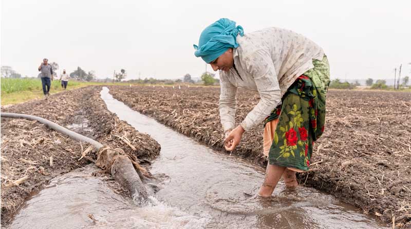 Tackling Land Degradation, Desertification, and Drought Resilience in Indian Agriculture