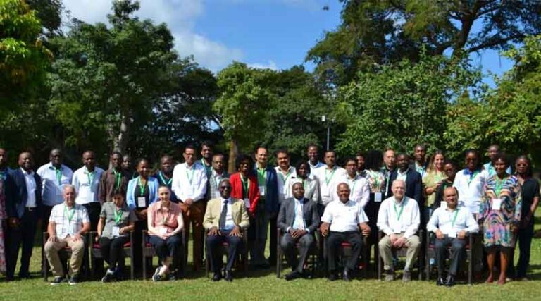 Building Global Capacity to Combat Wheat Blast