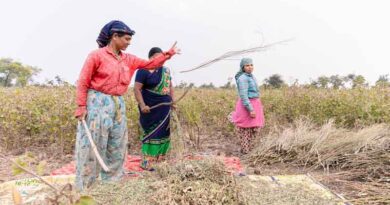 Soybean MSP hiked by Rs 292; Government announces MSP for Kharif crops in 2024-25