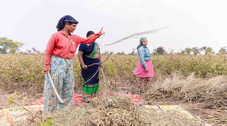 Soybean MSP hiked by Rs 292; Government announces MSP for Kharif crops in 2024-25