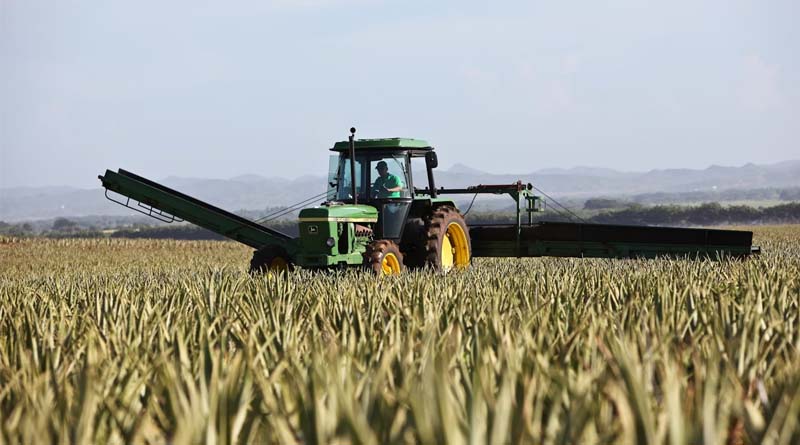 Pesticide Registration Process in Brazil