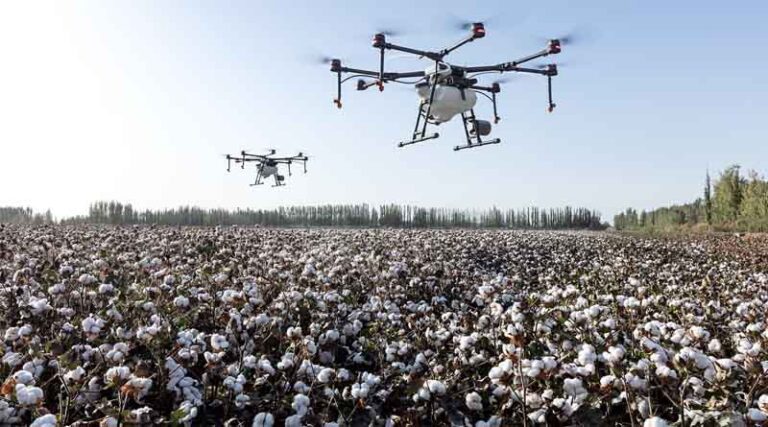 Insights into India's Cotton Farming Sector - Challenges, Innovations, and Economic Trends