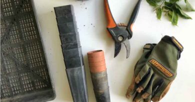 5 Unique Home Gardening Accessories to Elevate Your Green Oasis