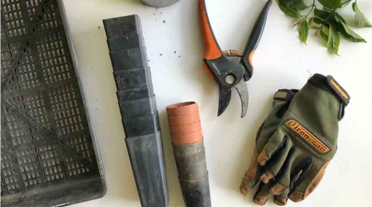 5 Unique Home Gardening Accessories to Elevate Your Green Oasis