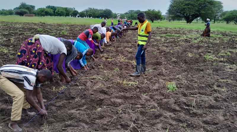 Quality Seeds Reduce Hunger in Tanzanian Schools