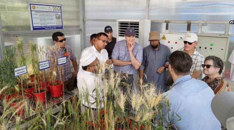 A Journey Through Bangladesh’s Ground-breaking Agricultural Practices