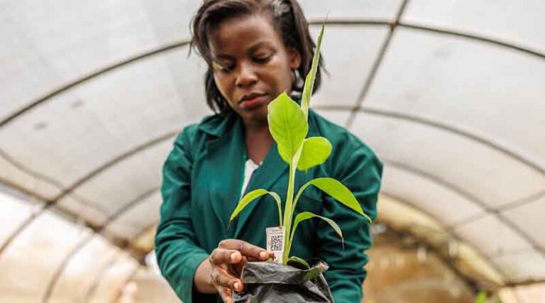 CGIAR’s New Flagship Report Will Help Decision-makers Transform Food, Land, and Water Systems