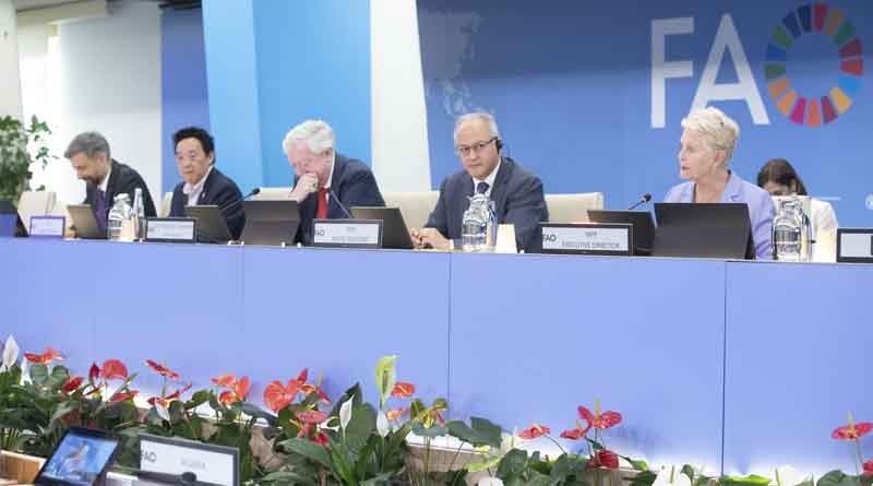 Complementarity and Collaboration Are “key and Evident” Director-general Says