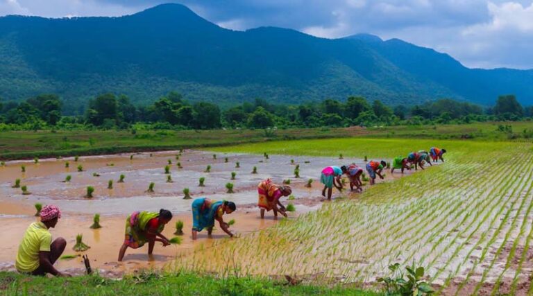 Experts Urge Reorientation of Indian Agriculture to Achieve Viksit Bharat by 2047