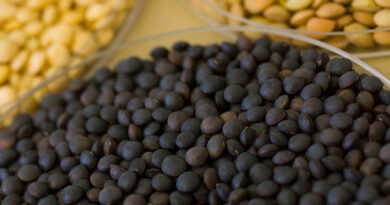 Genetics and AI approaches to power-up pulses
