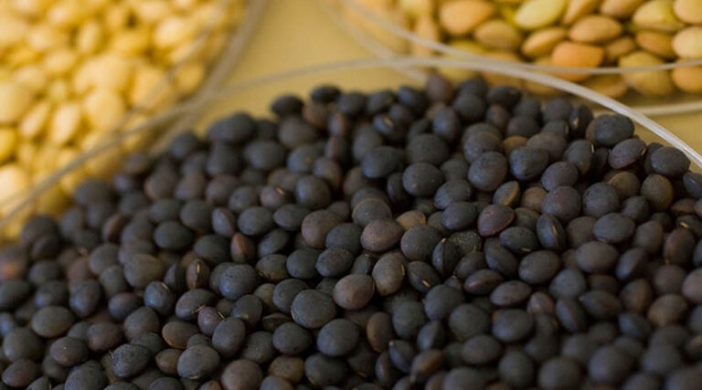 Genetics and AI approaches to power-up pulses