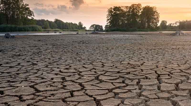 Climate Change Crisis: More Than 30 Percent Indian Farmers Have Faced Drought and Excessive Rains, New Survey Reveals