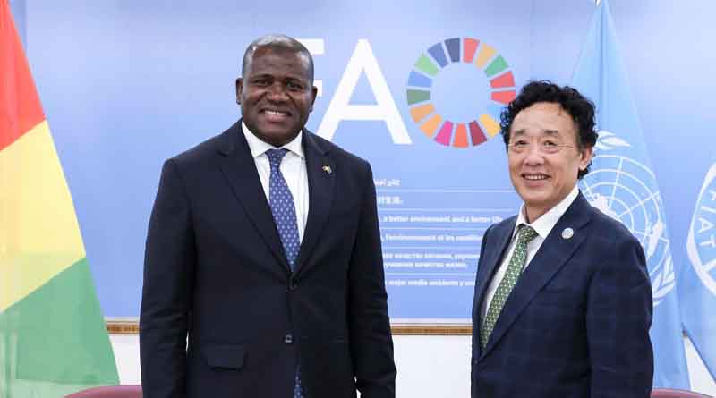 Bilateral meeting with H.E. Ismael Nabe, Minister of Planning and International Cooperation of the Republic of Guinea