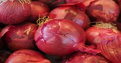 Heat and Export Demand Drive Onion Prices Up in Odisha