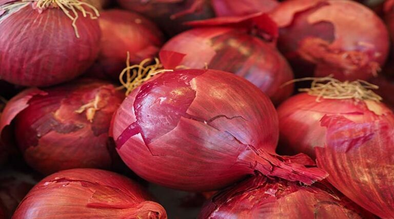 Heat and Export Demand Drive Onion Prices Up in Odisha