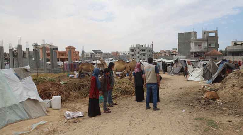 Hunger Hotspots Report: Famine Looms in Gaza While Risk of Starvation Persists in Sudan, Haiti, Mali, and South Sudan