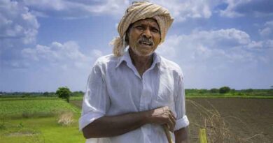 Indian Foodgrain Production Estimated at 3288.52 LMT; Slightly Lower Than Last Year