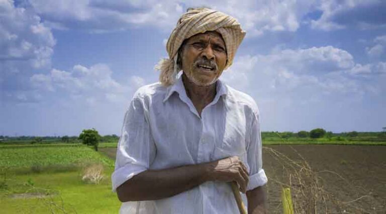 Indian Foodgrain Production Estimated at 3288.52 LMT; Slightly Lower Than Last Year