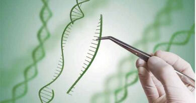 Syngenta Opens Rights to Genome-editing and Breeding Technologies to Boost Agricultural Innovation