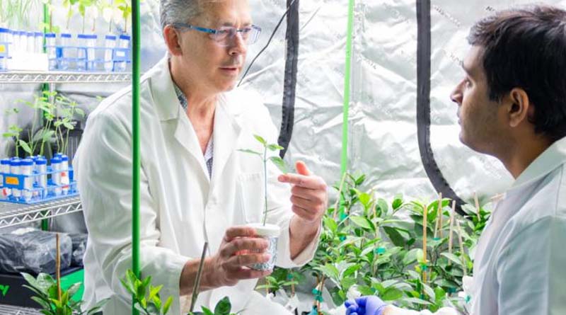 How Medical Models Can Transform Agriculture