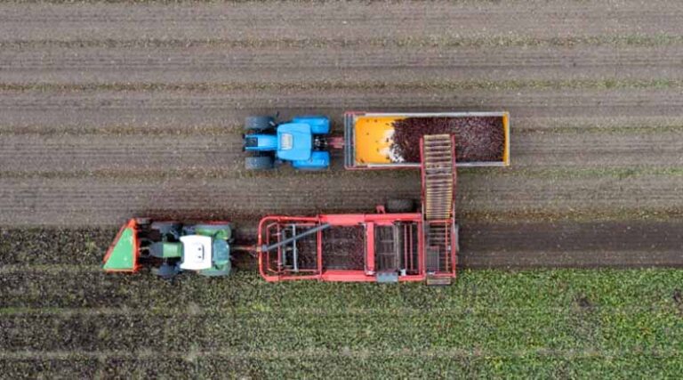 Dutch Supermarkets Increasingly Switch to Organic-only Options
