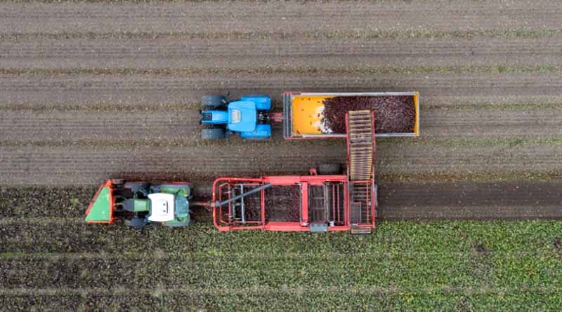Dutch Supermarkets Increasingly Switch to Organic-only Options