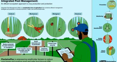 Pesticide Risk Reduction Can Contribute to Food Safety – Here’s How