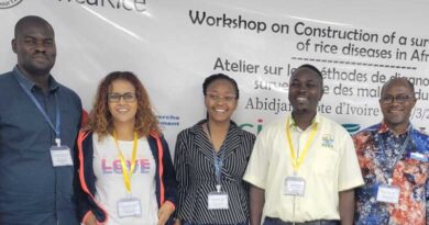 a Disease-surveillance Network in Africa Will Accelerate Detection and Actions to Prevent the Spread of Major Rice Diseases