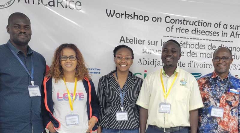a Disease-surveillance Network in Africa Will Accelerate Detection and Actions to Prevent the Spread of Major Rice Diseases