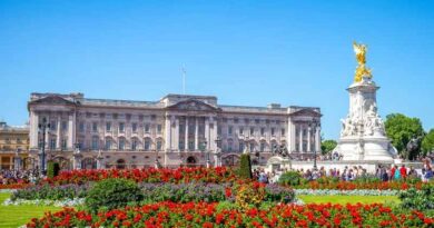 His Majesty King Charles III Continues Patronage of Crop Trust
